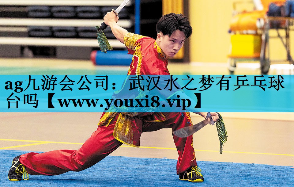 武汉水之梦有乒乓球台吗
