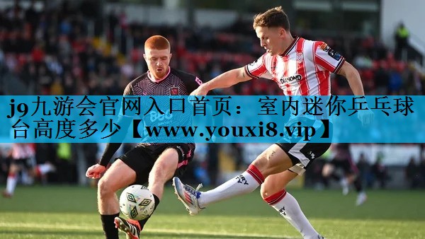 室内迷你乒乓球台高度多少 室内迷你乒乓球台高度多少